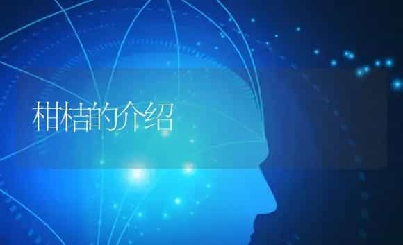 柑桔的介绍 | 特种种植
