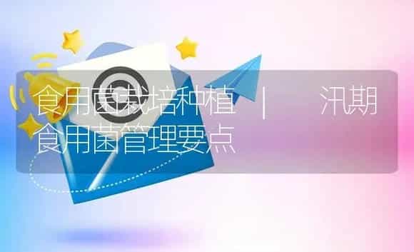汛期食用菌管理要点 | 菌菇种植