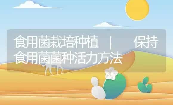 如何贮藏黑木耳 | 菌菇种植