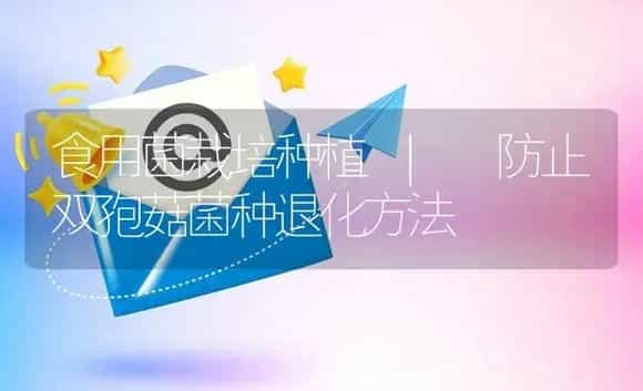 防止双孢菇菌种退化方法 | 菌菇种植