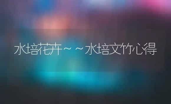 水培花卉～～水培文竹心得 | 家庭养花