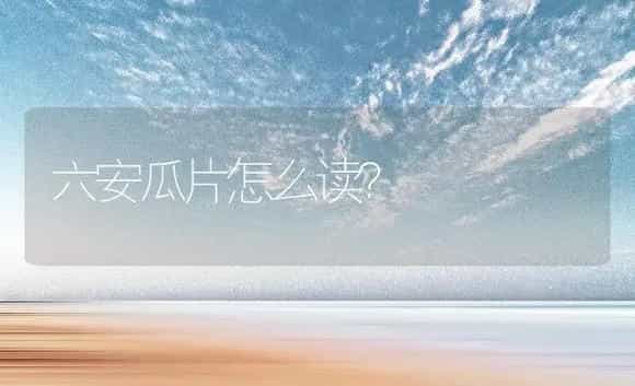 六安瓜片怎么读？ | 农作物种植