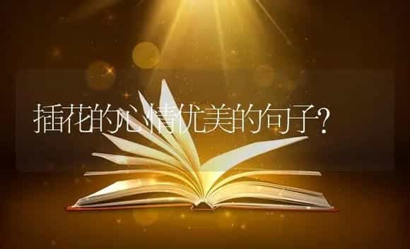 插花的心情优美的句子? | 绿植常识