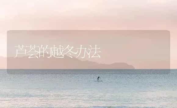 芦荟的越冬办法 | 家庭养花