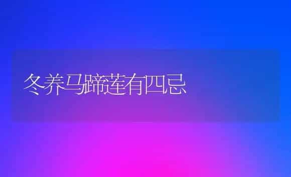 冬养马蹄莲有四忌 | 家庭养花