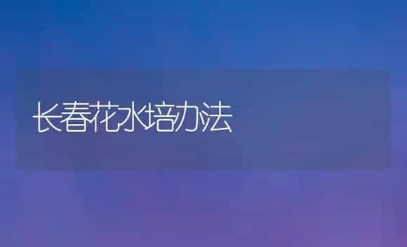 长春花水培办法 | 家庭养花