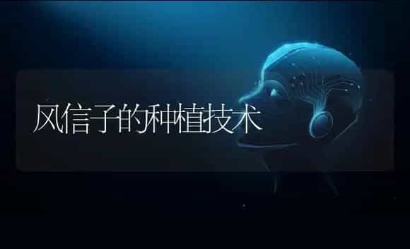 风信子的种植技术 | 特种种植