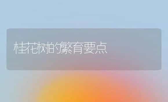 桂花树的繁育要点 | 家庭养花