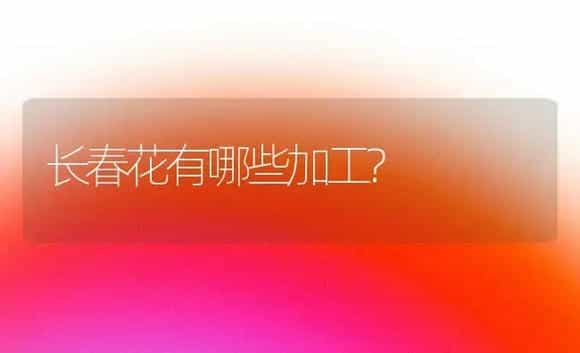 长春花有哪些加工? | 家庭养花