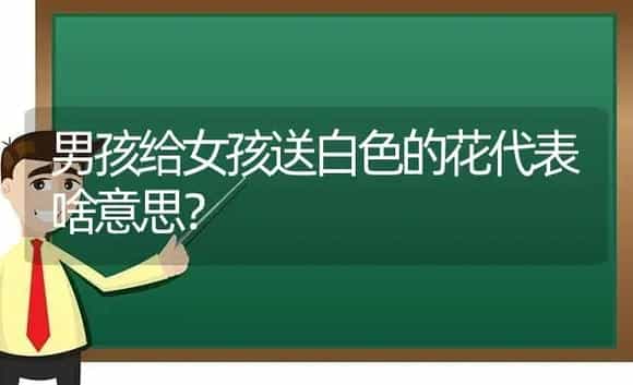 男孩给女孩送白色的花代表啥意思? | 绿植常识