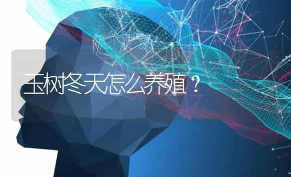 玉树冬天怎么养殖？ | 多肉养殖