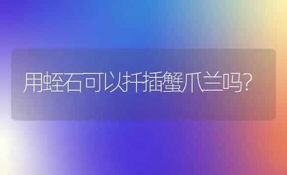 用蛭石可以扦插蟹爪兰吗？ | 多肉养殖