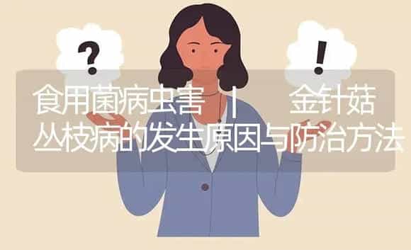 金针菇丛枝病的发生原因与防治方法 | 菌菇种植