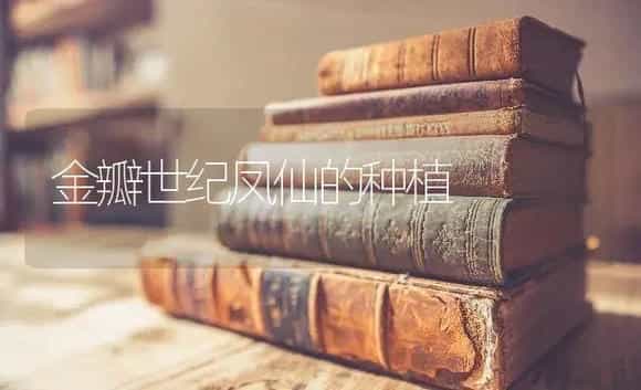 金瓣世纪凤仙的种植 | 特种种植