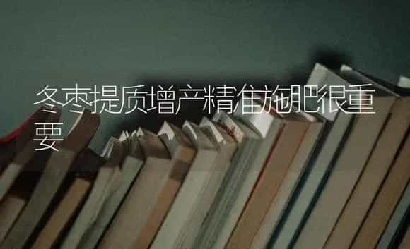 冬枣提质增产精准施肥很重要 | 果木种植