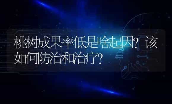 桃树成果率低是啥起因？该如何防治和治疗？ | 果木种植