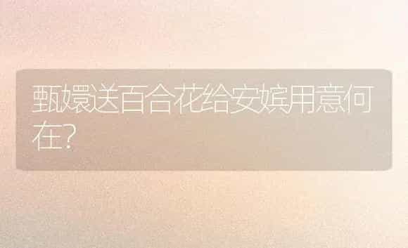 甄嬛送百合花给安嫔用意何在？ | 绿植常识
