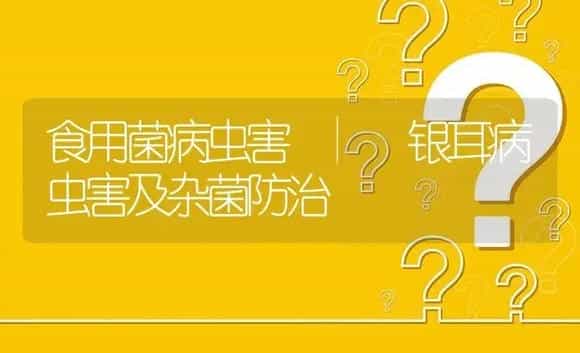 银耳病虫害及杂菌防治 | 菌菇种植