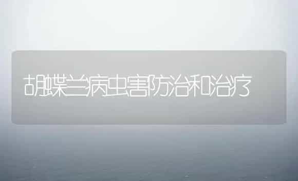 胡蝶兰病虫害防治和治疗 | 家庭养花