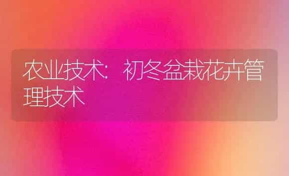 农业技术:初冬盆栽花卉管理技术 | 家庭养花
