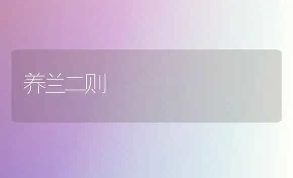 养兰二则 | 家庭养花