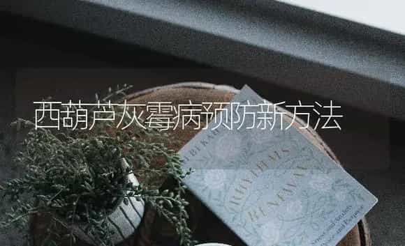 西葫芦灰霉病预防新方法 | 特种种植