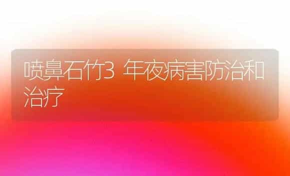 喷鼻石竹3年夜病害防治和治疗 | 家庭养花