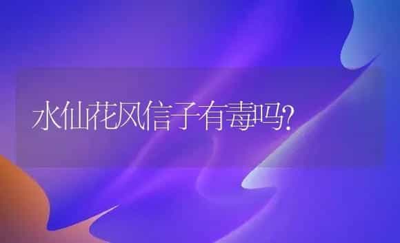 水仙花风信子有毒吗？ | 绿植常识