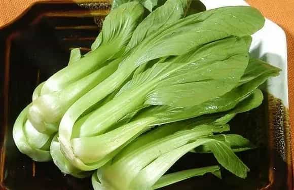 油菜的栽培时间与措施