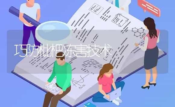 巧防枇杷冻害技术 | 特种种植