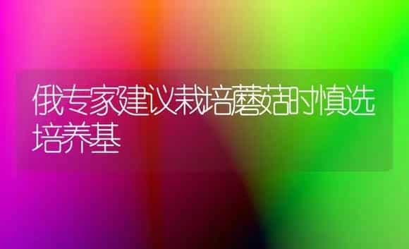 俄专家建议栽培蘑菇时慎选培养基 | 菌菇种植