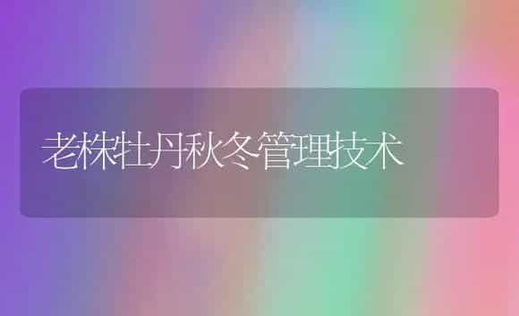 老株牡丹秋冬管理技术 | 家庭养花