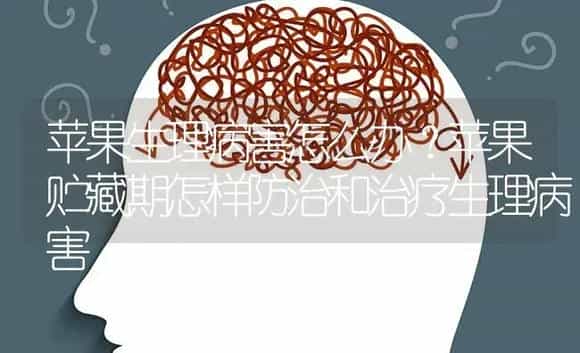 苹果生理病害怎么办？苹果贮藏期怎样防治和治疗生理病害 | 果木种植