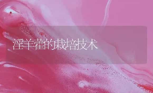 淫羊藿的栽培技术 | 药材种植