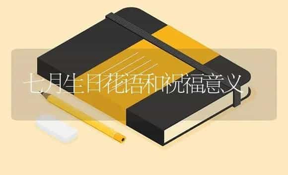 七月生日花语和祝福意义 | 绿植寓意