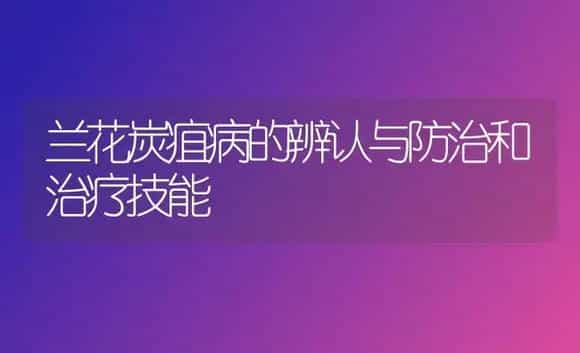 兰花炭疽病的辨认与防治和治疗技能 | 家庭养花