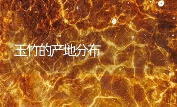 玉竹的产地分布 | 药材种植