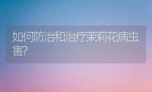 如何防治和治疗茉莉花病虫害? | 家庭养花