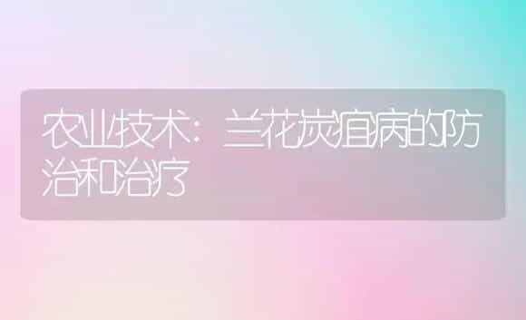 农业技术:兰花炭疽病的防治和治疗 | 家庭养花