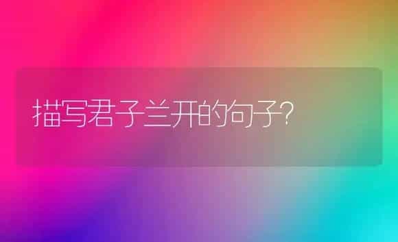 描写君子兰开的句子？ | 绿植常识