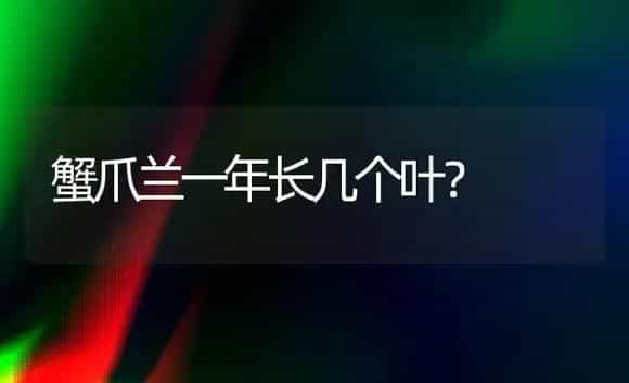 蟹爪兰一年长几个叶? | 多肉养殖