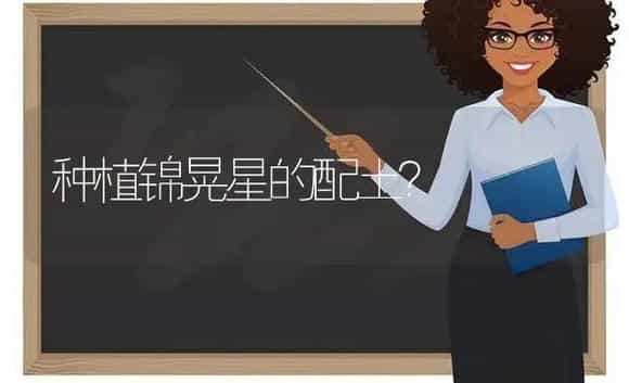 种植锦晃星的配土？ | 多肉养殖