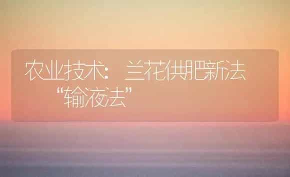 农业技术:兰花供肥新法――“输液法” | 家庭养花
