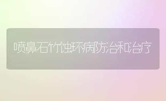 喷鼻石竹蚀环病防治和治疗 | 家庭养花