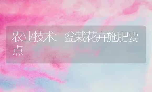 农业技术:盆栽花卉施肥要点 | 家庭养花