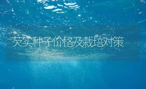芡实种子价格及栽培对策 | 药材种植