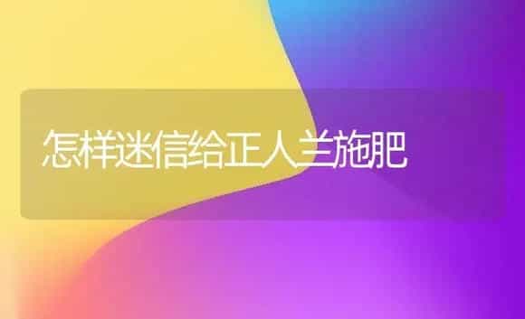 怎样迷信给正人兰施肥 | 家庭养花