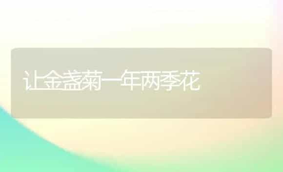让金盏菊一年两季花 | 家庭养花