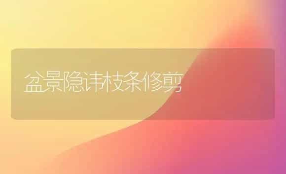 盆景隐讳枝条修剪 | 家庭养花