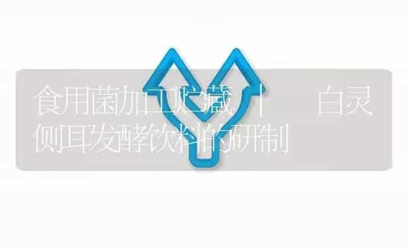 白灵侧耳发酵饮料的研制 | 菌菇种植